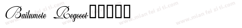 Bailumote Regooot字体转换